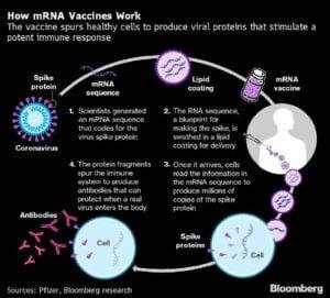 How mRNA Vaccine works, UPSC, Current affairs How mRNA Vaccine works, UPSC, Current affairs