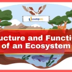 Structure and Functions of an Ecosystem