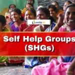 Self Help Groups (SHGs), GS 2
